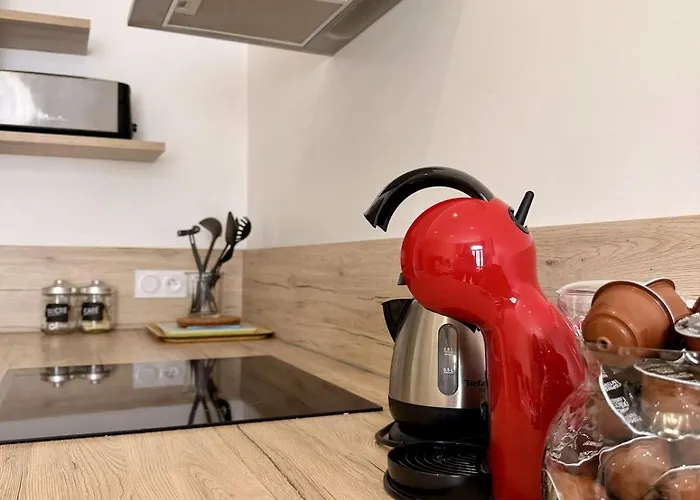 Astoria - Palace, Centre-ville, Vue Montagne Apartment Aix-les-Bains